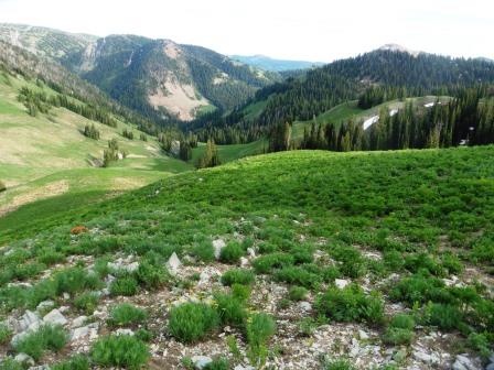 The view back toward camp from Mt Wagner Pass